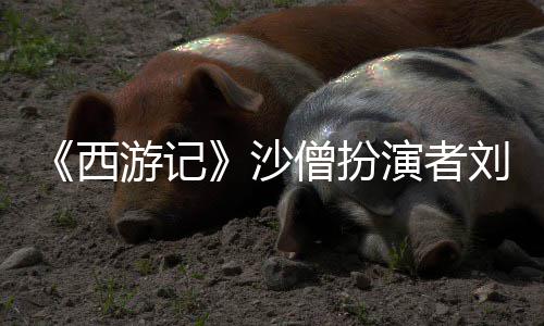 西享年刘大刚去游记演者沙僧扮世 岁