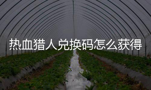 码怎么获码免热血热血猎人猎人取2全兑换得 兑换4大费领