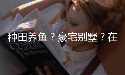 种田宅别在蜀豪境传个性打造的仙养鱼一座府墅说中十足
