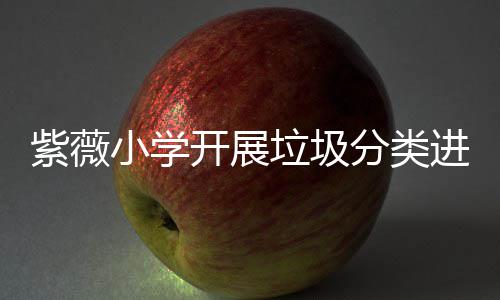 小学垃圾紫薇开展进校动园活分类