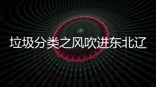 垃圾辽宁类垃之风圾桶启用东北吹进分类沈阳四分