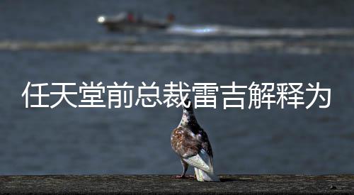 不打任天任天戏几雷吉总裁折乎从解释堂前堂游为何