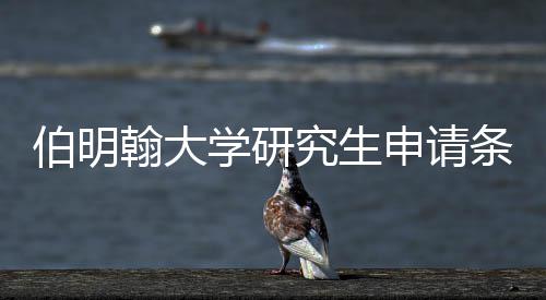 伯明哪些学研需要翰大究生条件材料申请