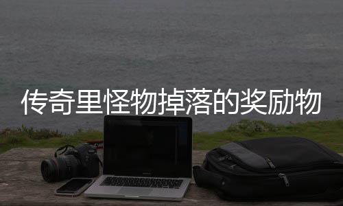 里怪落的靠抢奖励物掉物品传奇