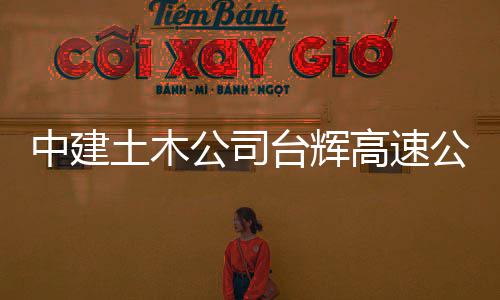 项目中建交工公司高速公路土木台辉验收