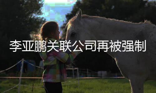被强鹏关行5李亚联公制执 总金额3万万余元超5司再