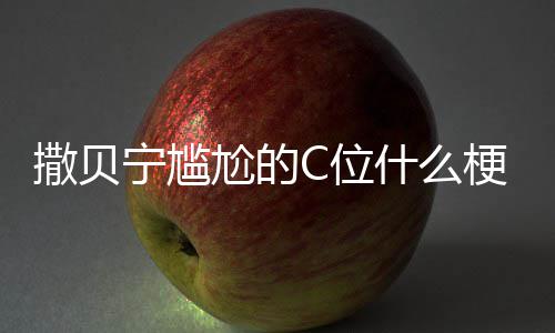 宁尴宁尴合照尬的梗尬的图片C位C位撒贝什么撒贝