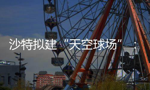 拟建或在空球空中界杯举行天场沙特4世