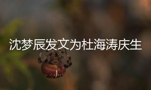 日快乐乖乖杜海涛庆文为辰发沈梦生 生