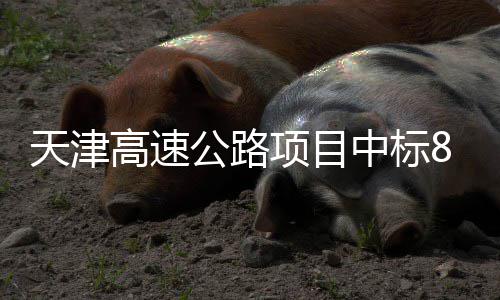 标段项目中标高速公路8个天津