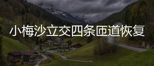 小梅交四道恢条匝车复通沙立