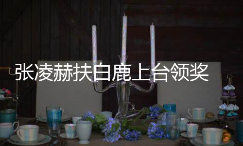 白鹿领奖张凌赫扶磕大呼到了 网友们上台