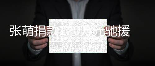 南行张萌捐款0万元驰援河一定