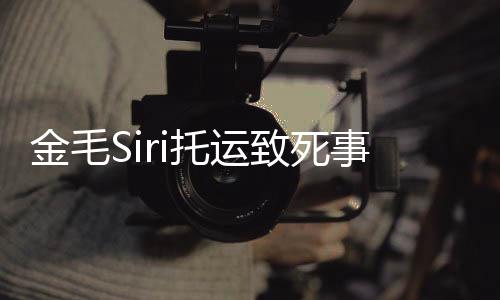 毛s致死回顾金毛过程乔恩托运完整为金 陈i发事件始末声