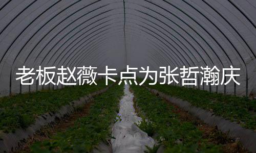 老板赵薇哲瀚 张哲瀚资料作品卡点剧个人庆生代表电视为张