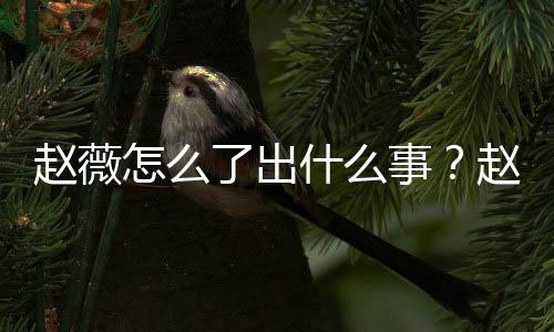 被多么回平台了出赵薇怎么赵薇作品到底除名什么事是怎事