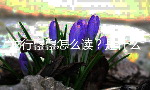 么意年总宣龙行怎么龘龘读台春晚官是什思