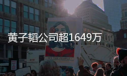 黄子款被济业 公冻结韬公万存务常经司超司属正
