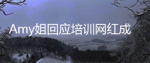 名叫培训回应y姐姐是天王网红成嫂谁真什么